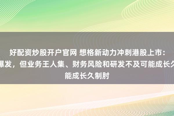 好配资炒股开户官网 想格新动力冲刺港股上市：事迹爆发，但业务王人集、财务风险和研发不及可能成长久制肘